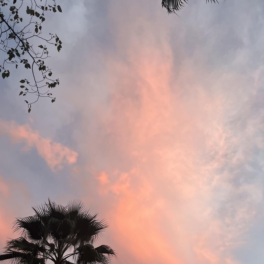 春暖花开🍃
