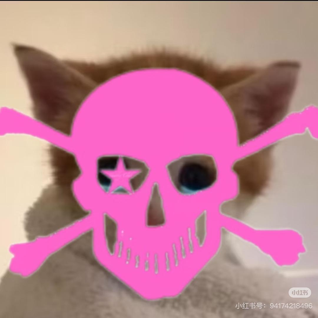 ໌ 𝕭𝖈𝖆𝖗𝖙𝖞