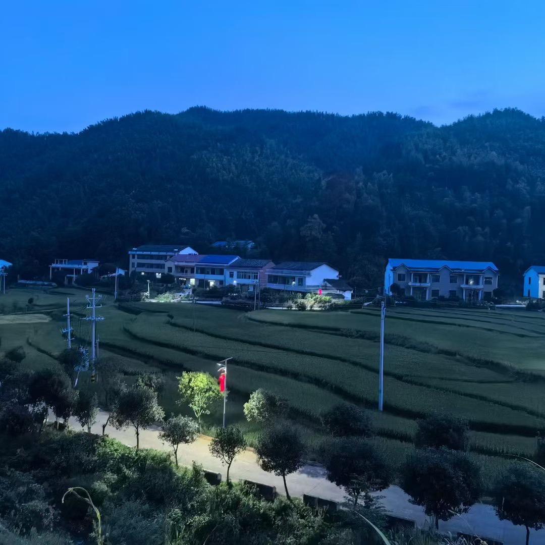 衡东人在深圳布吉