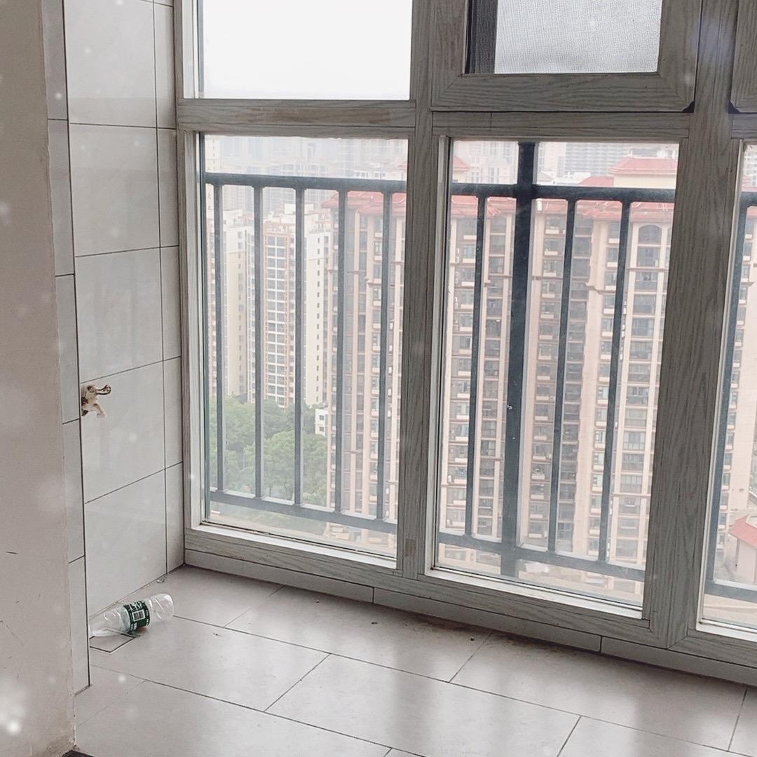 我是我自己