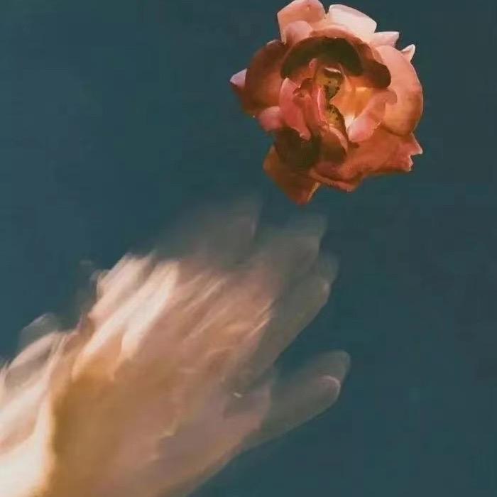 🌸子模样