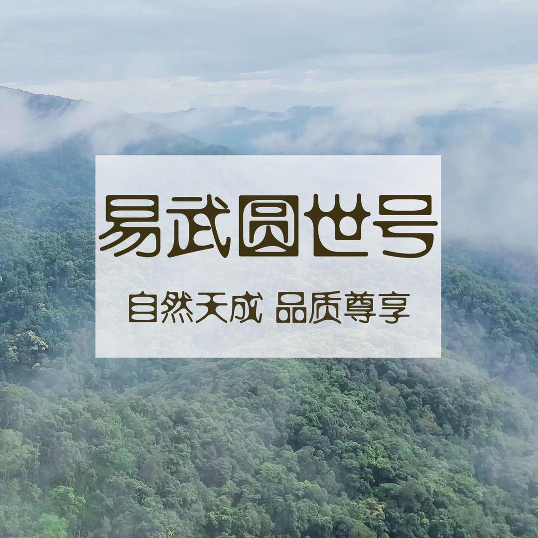 圆世号