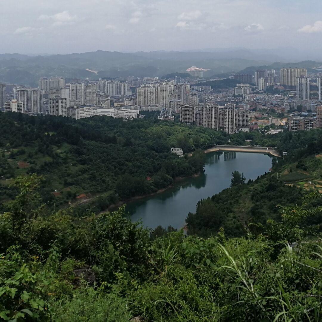 小伙伴