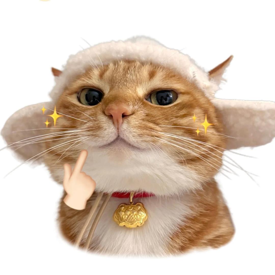 金艺琳
