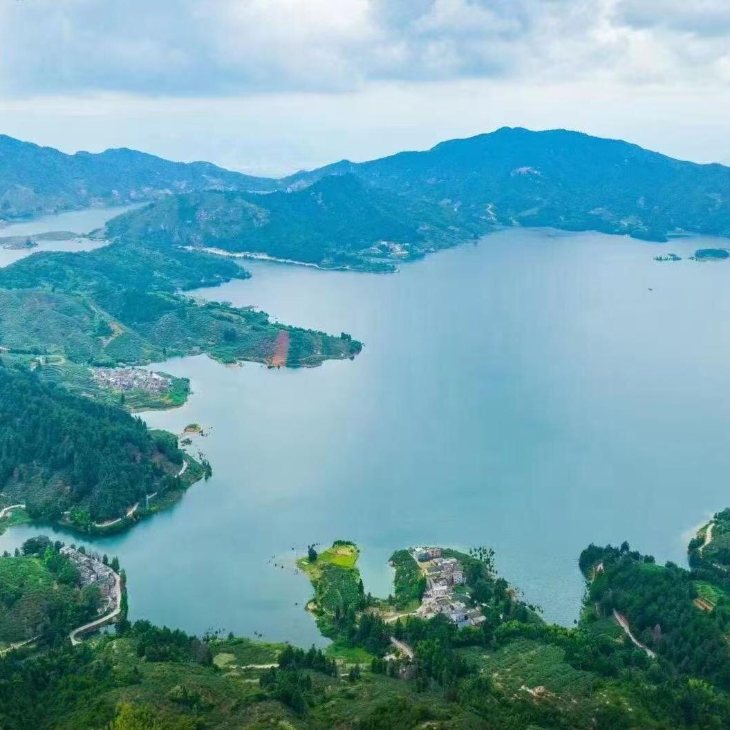 用户4252916622422猫哥