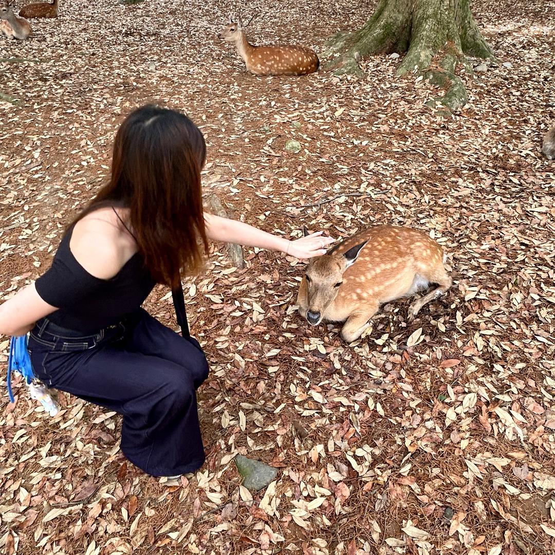 爱美爱生活的小城