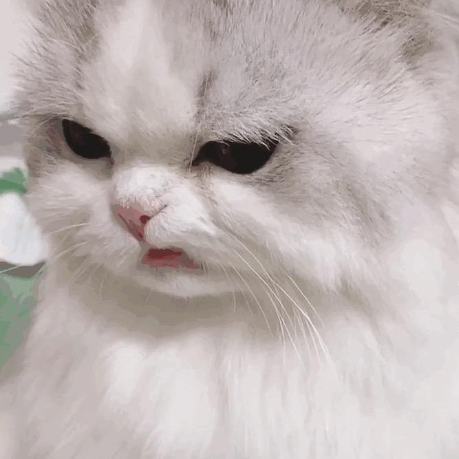 墨