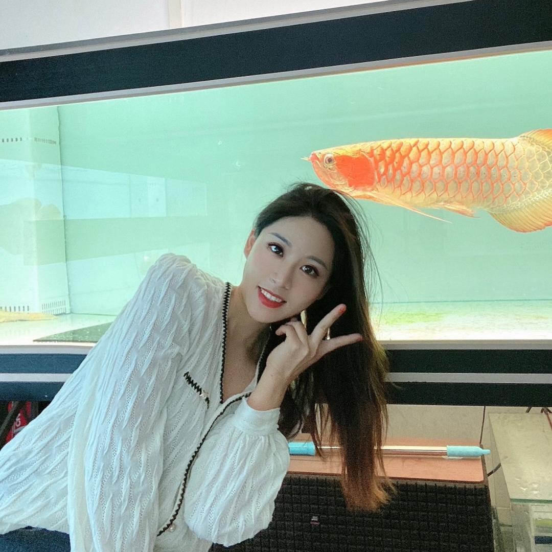 龍皇汇精品龙鱼