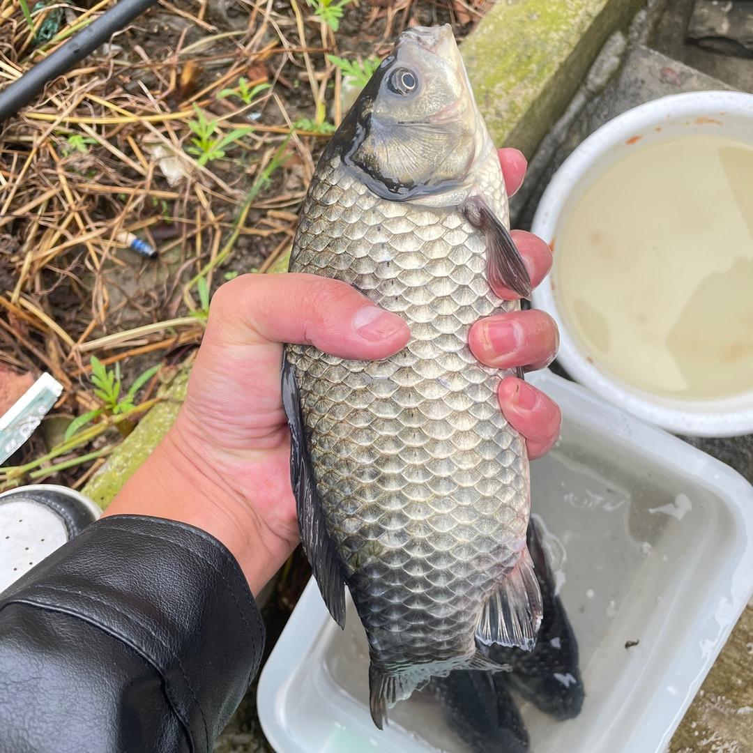 常州天元
