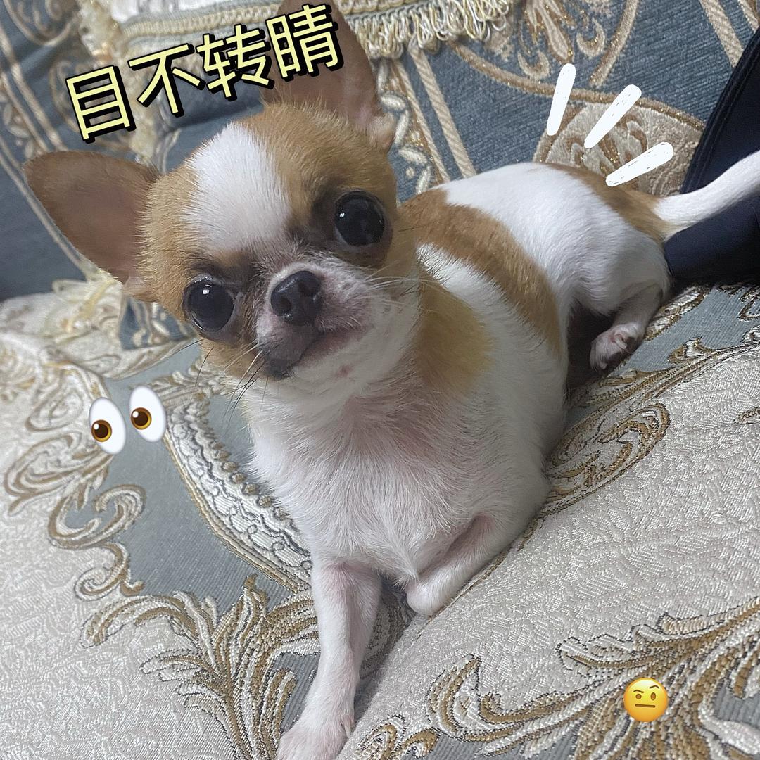 妞ꫛ℘℘ꫀꪄꪶ