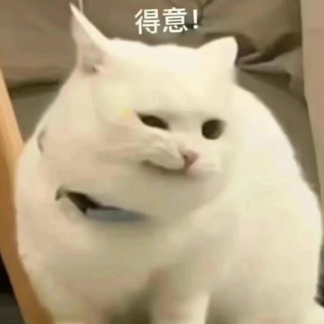 深圳不怕影子斜🥕