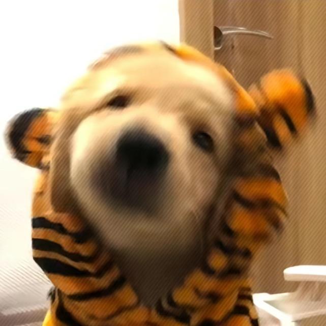 🥟