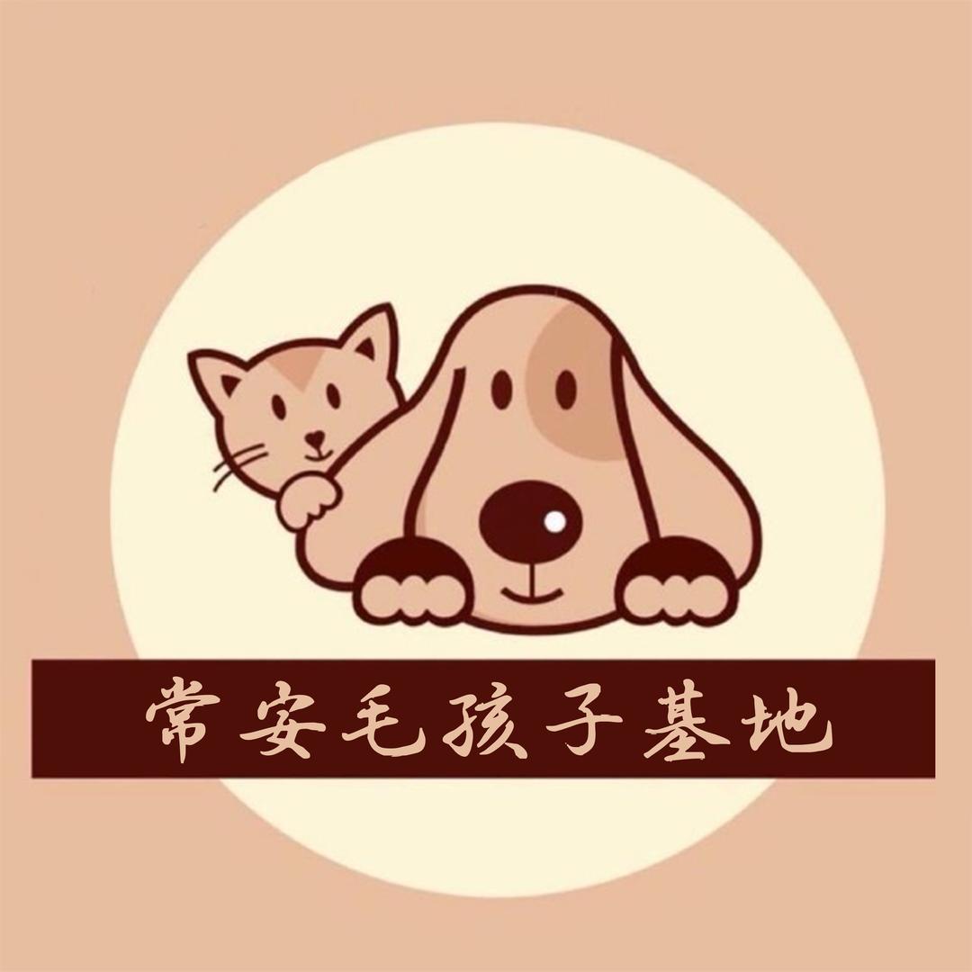 常安（原郁雷鸣）毛孩子基地