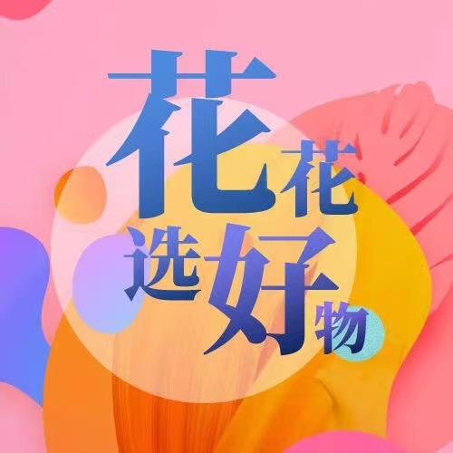 保定北国先天下华华