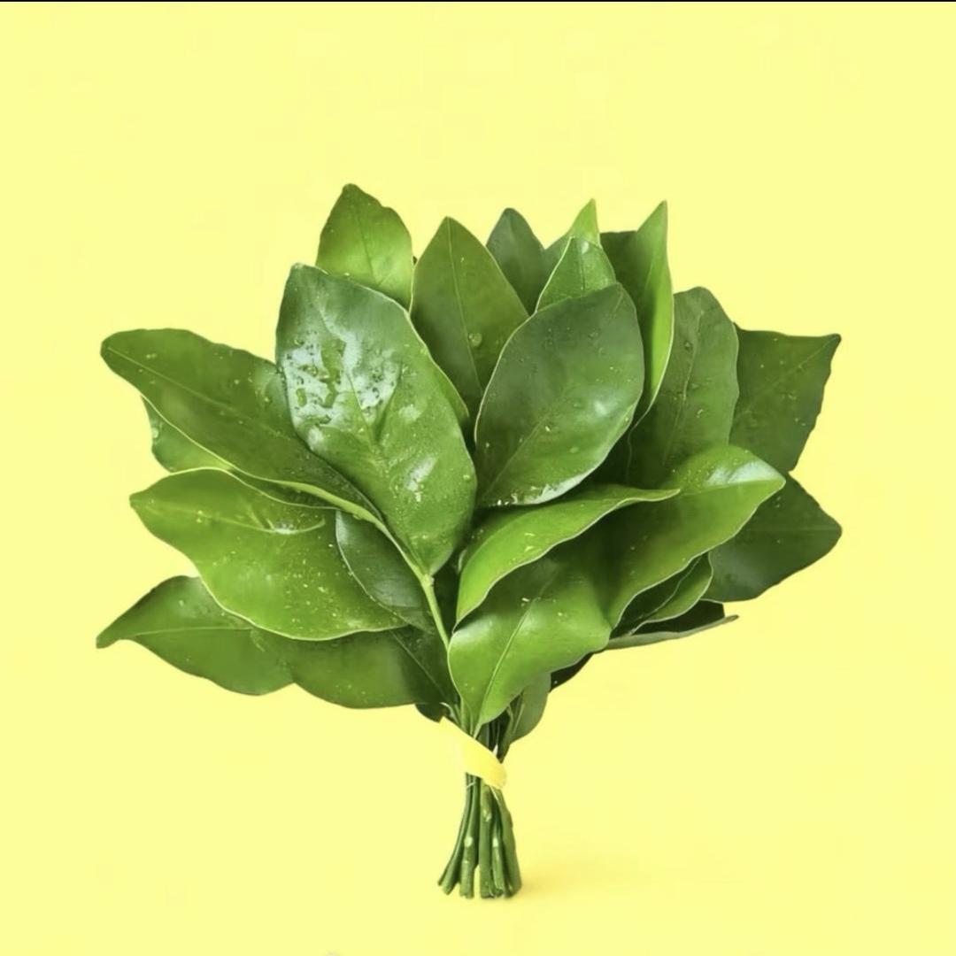 兵兵教学-营业部