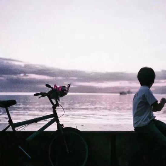 上海黑豹
