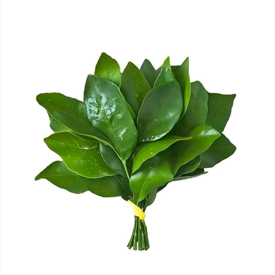 向前 ：）
