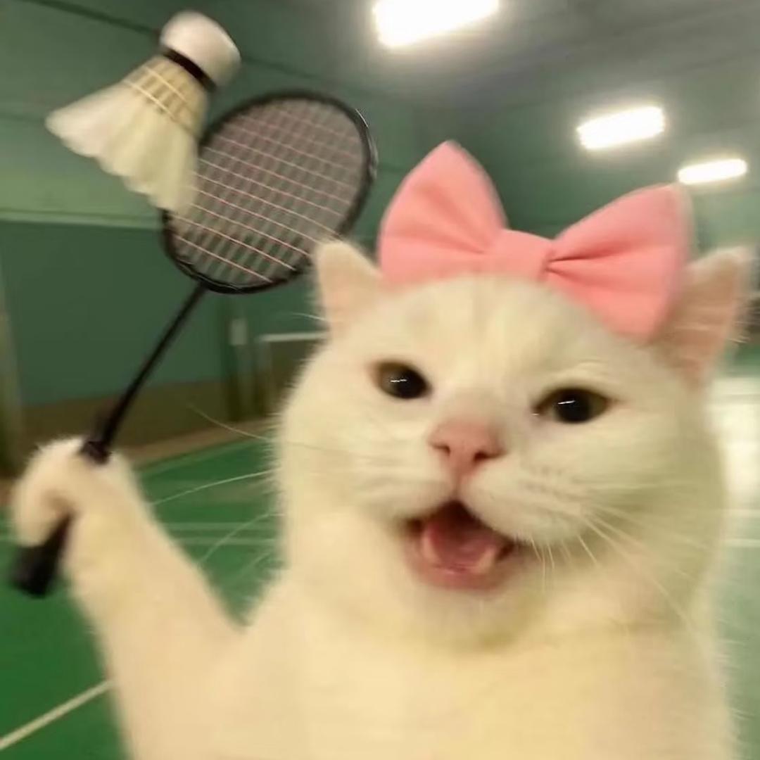 彭彭