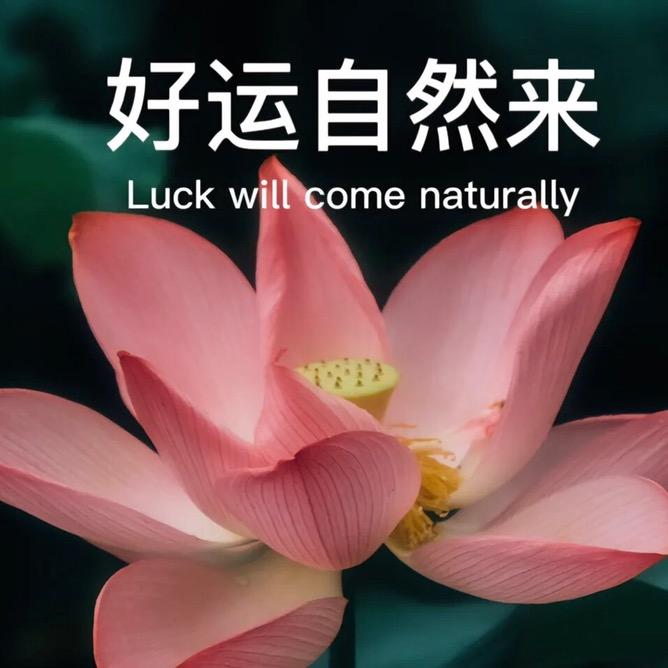 不是咦是怡（电视剧）更新中