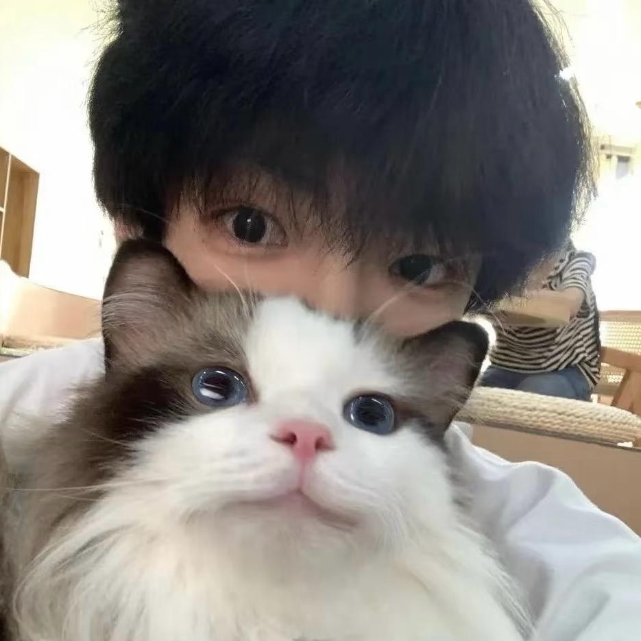 洛川澈