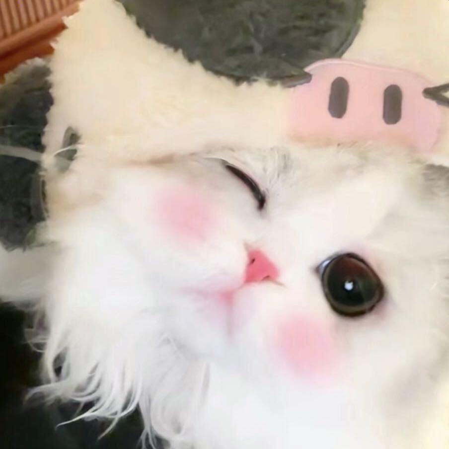 晚晚子.