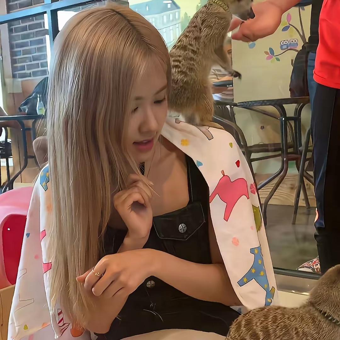 小羊小洋🐑