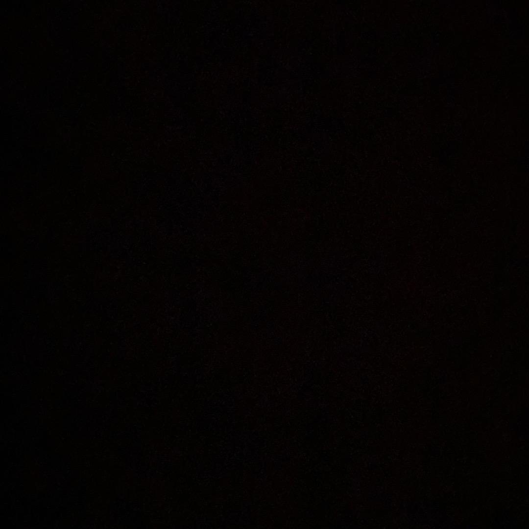 猫弟
