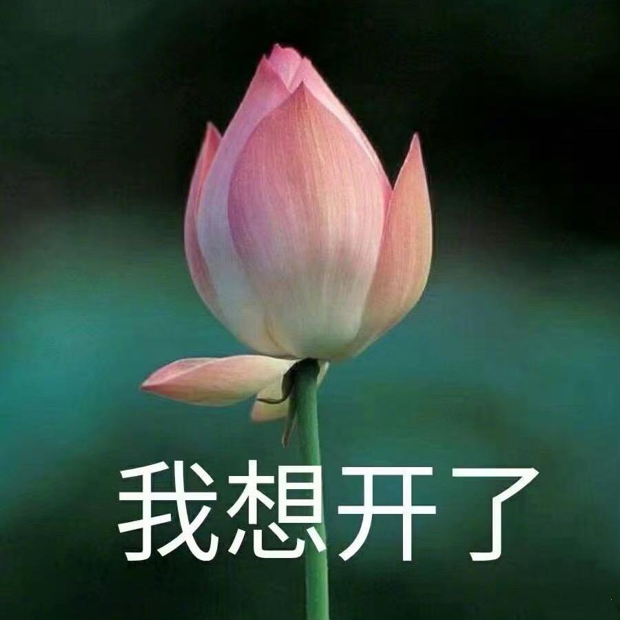 平底鞋大王