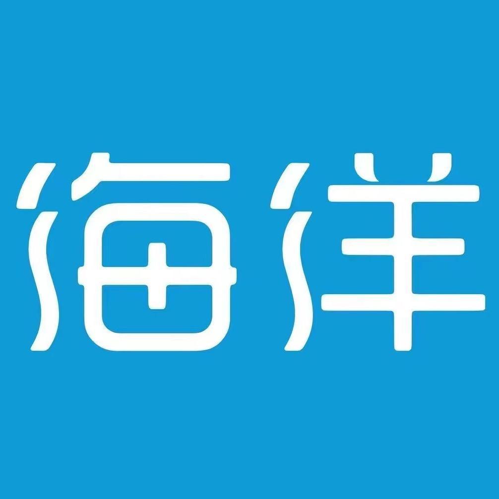 比亚迪海洋（武汉中成汉迪4S店）