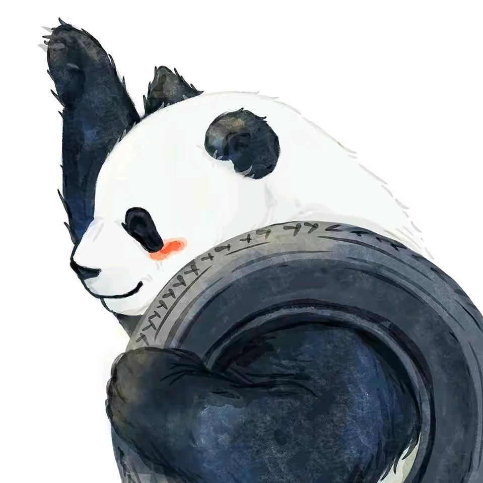 大壮精品轿车轮胎
