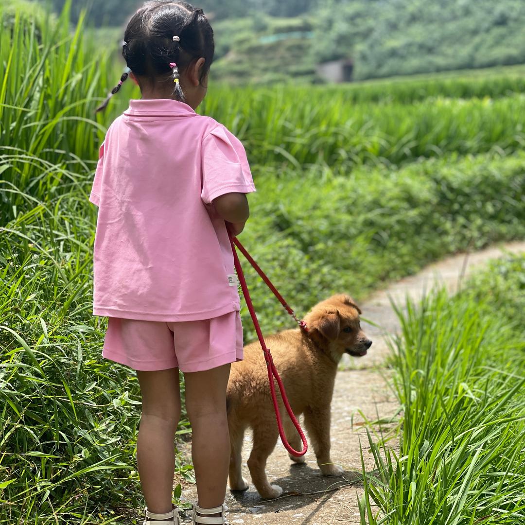 杨小芳