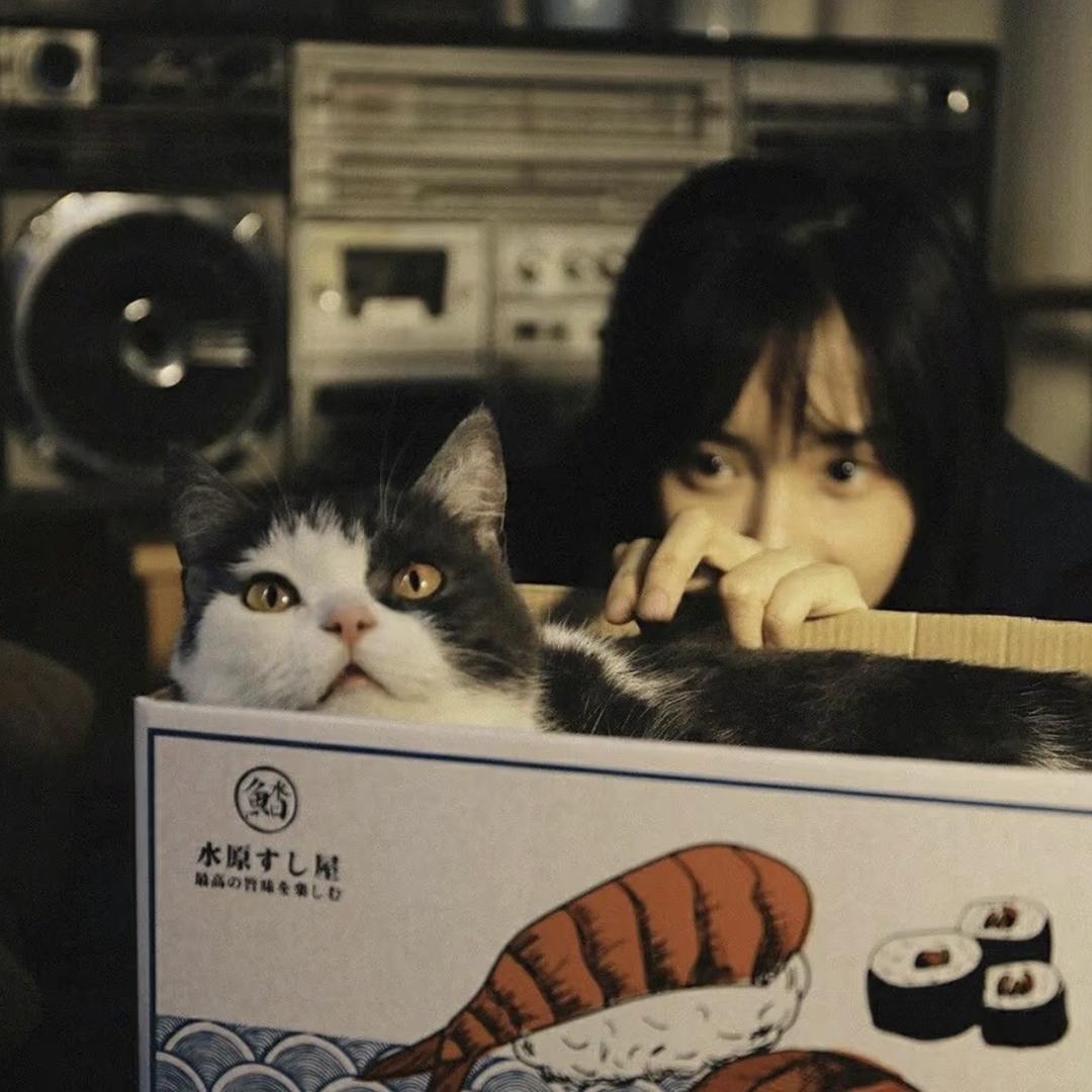 贝贝日常好物
