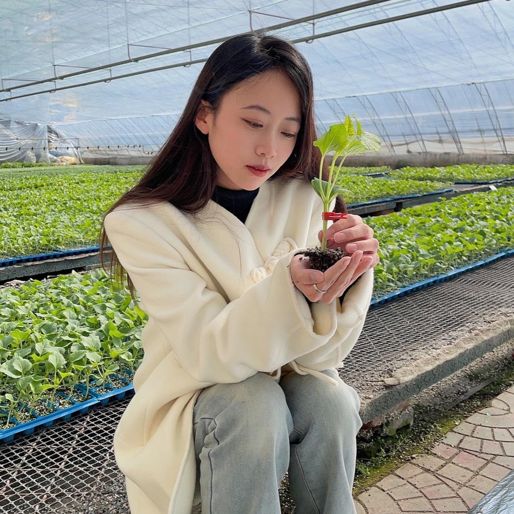种苗培育-