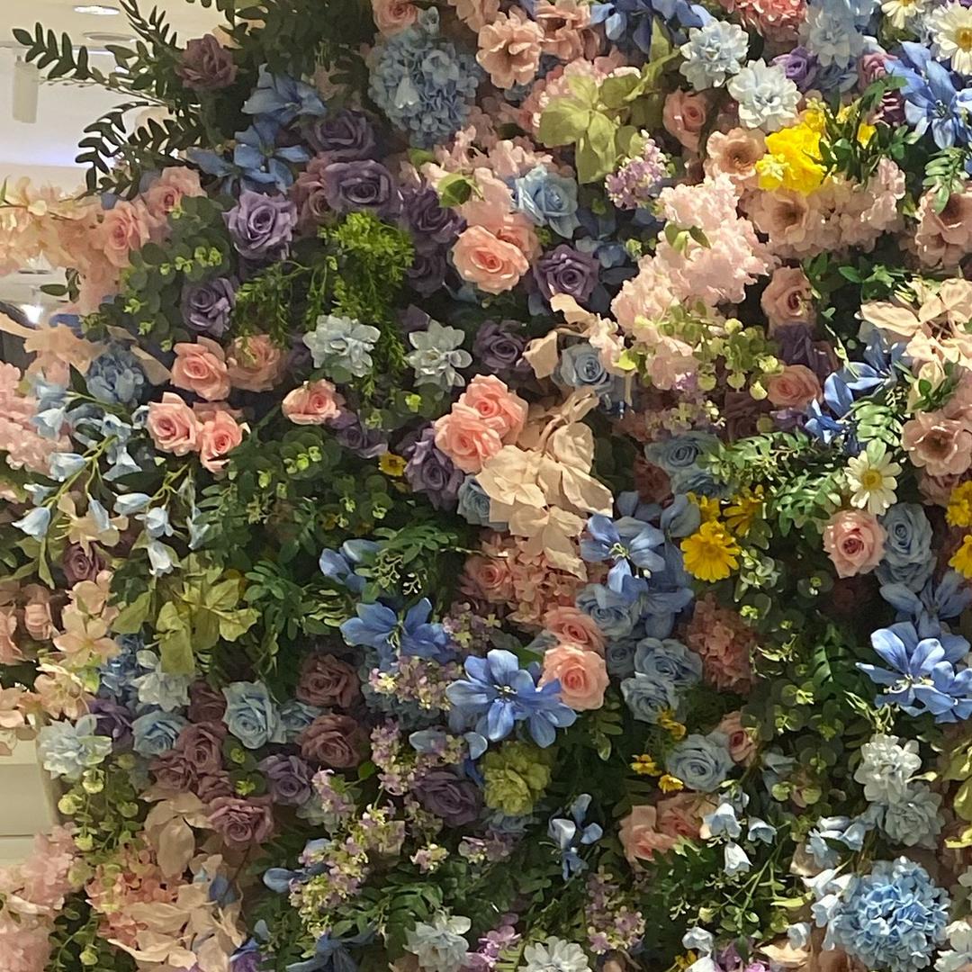 落雪遥夏””