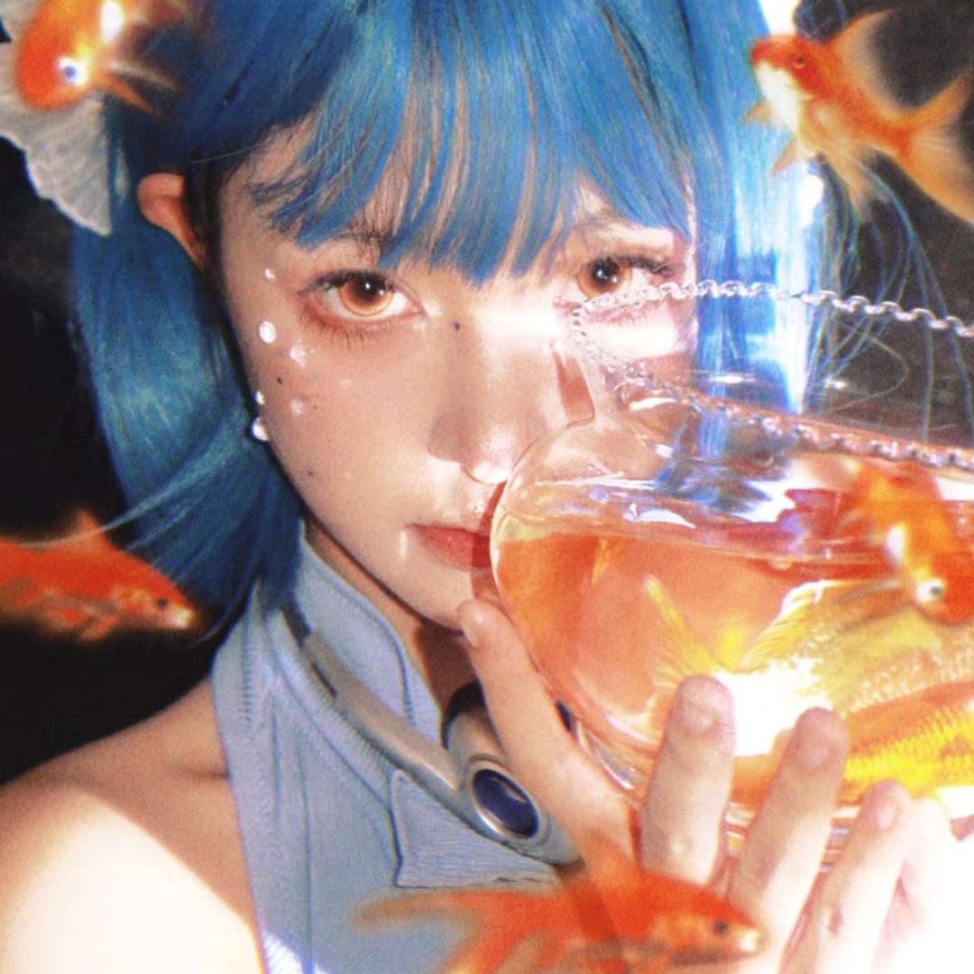 锦鲤Plus