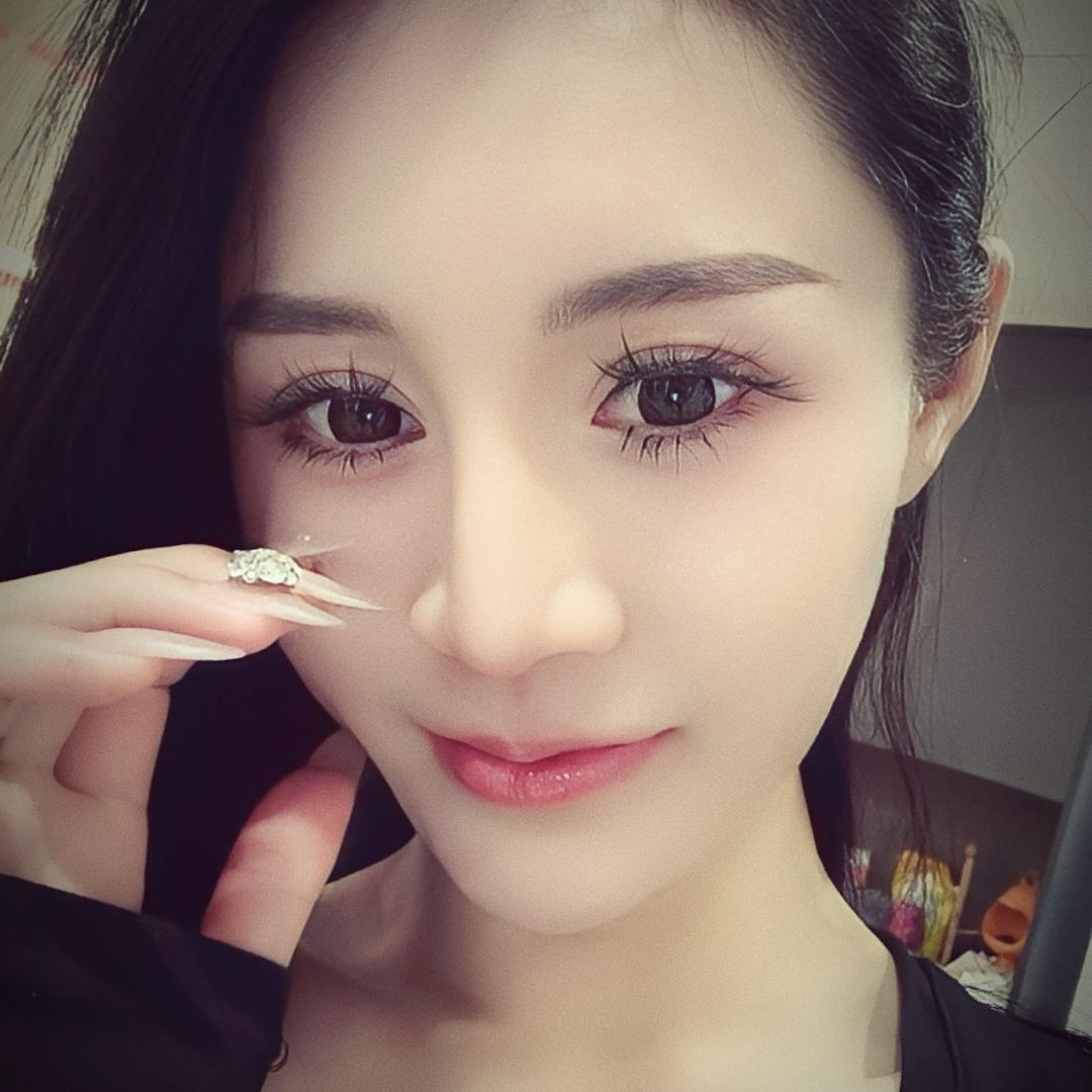 海上森林一只猫