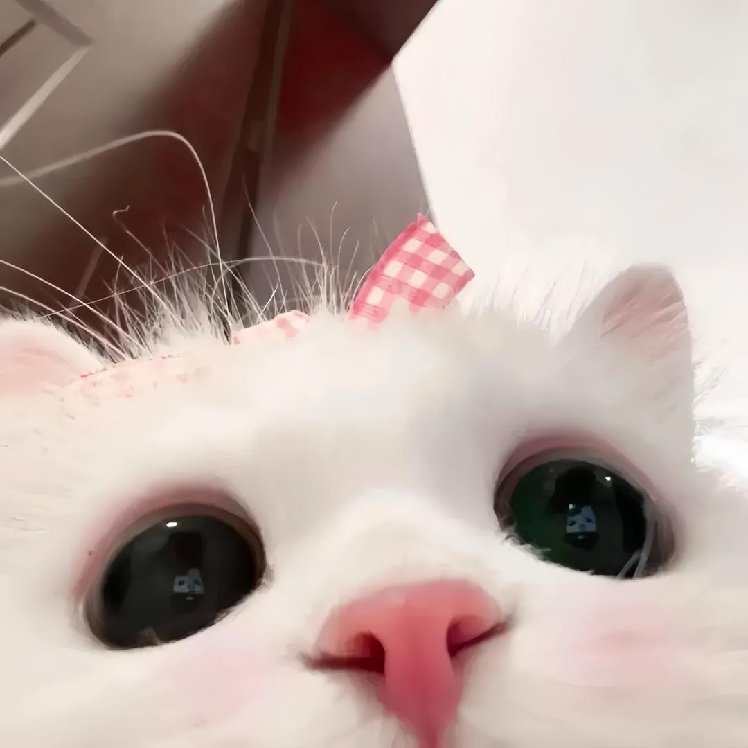 illusion