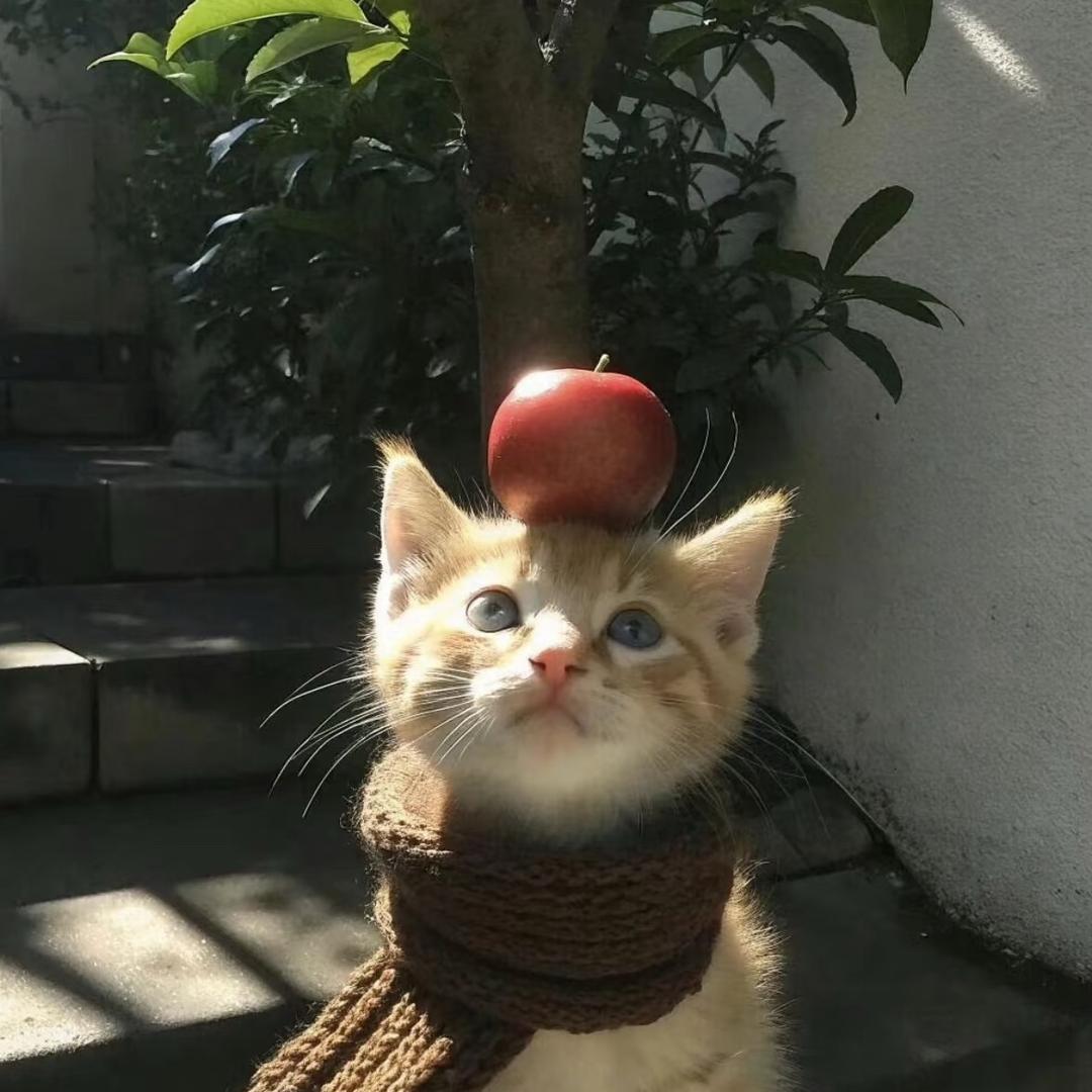 超级铁小马