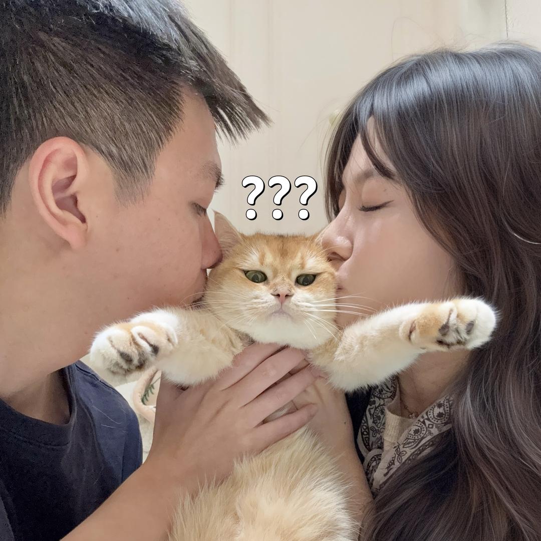 泊霖Berly (备婚日记)@抖音