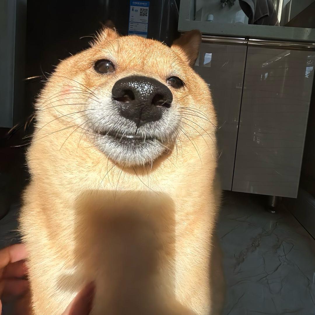 青山阿