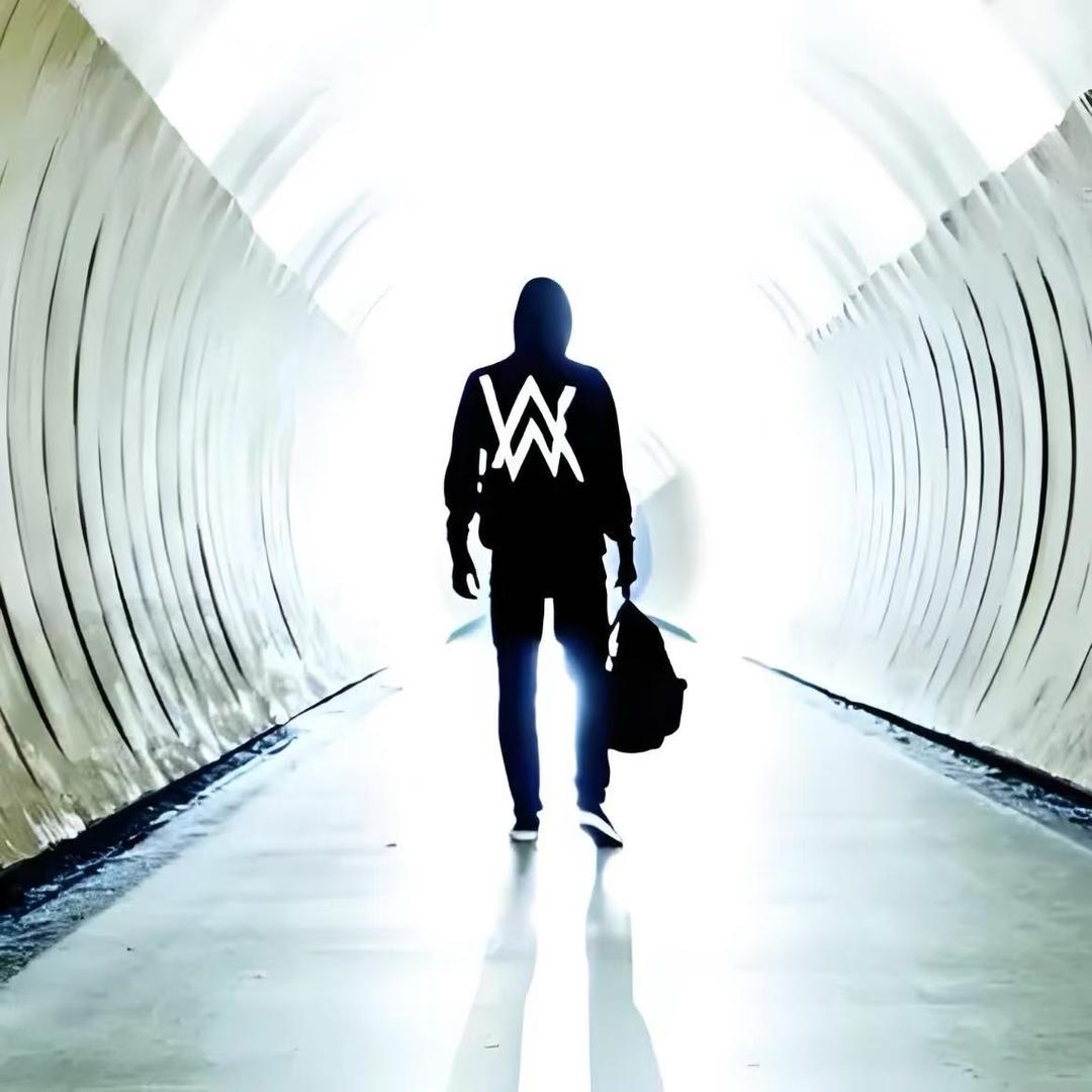 AlanWalker&