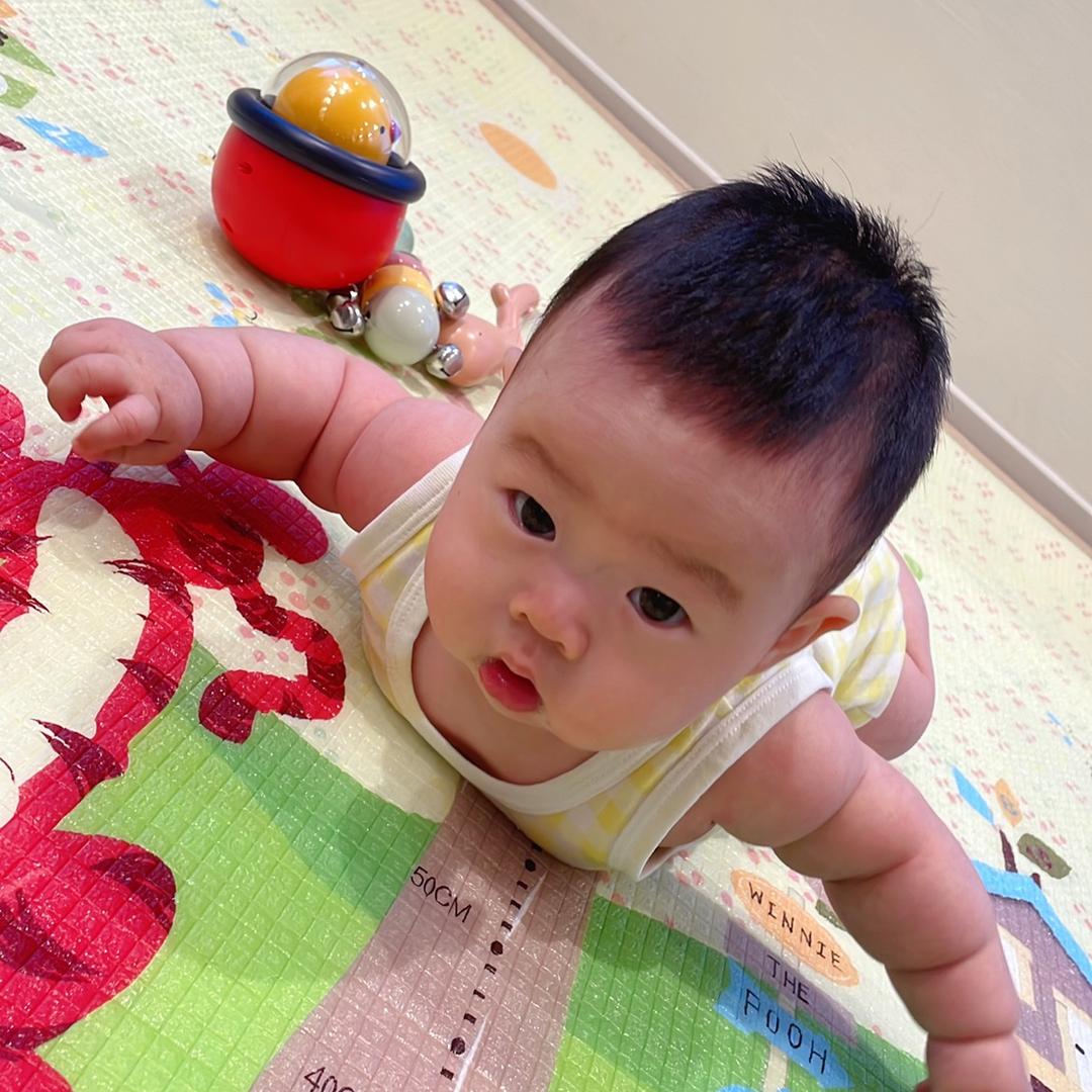 我是茂茂呀
