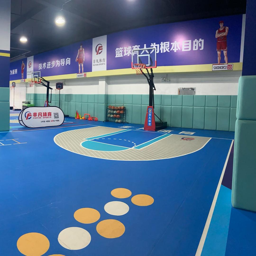 你的篮球教练🏀