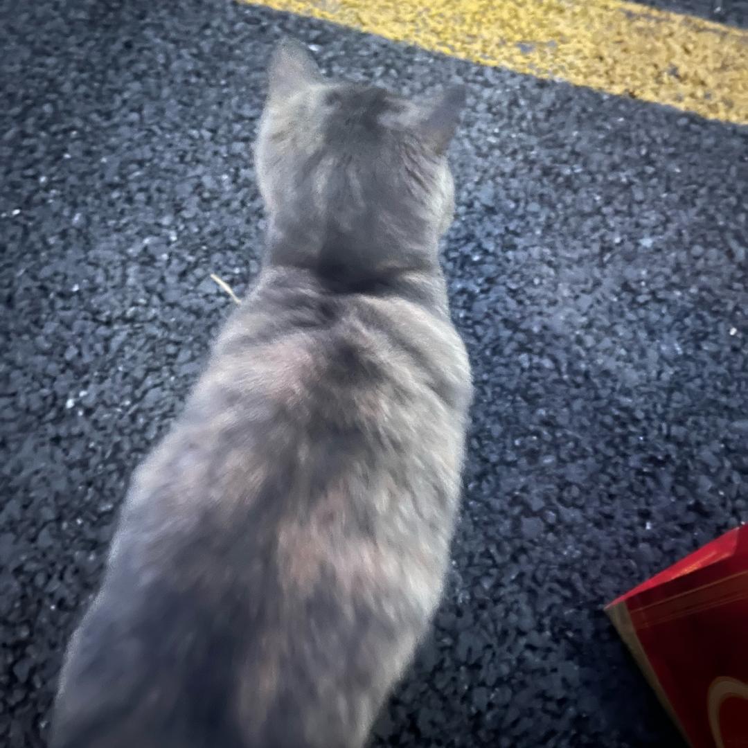 明天
