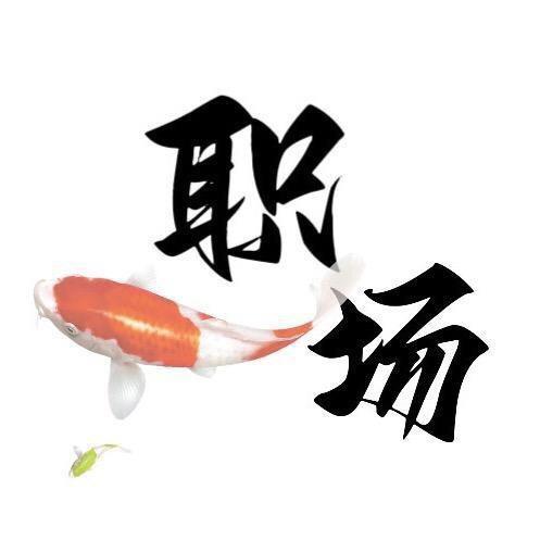 职场锦鲤