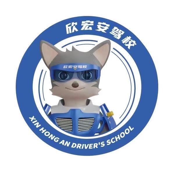 欣宏安驾校一洋姐