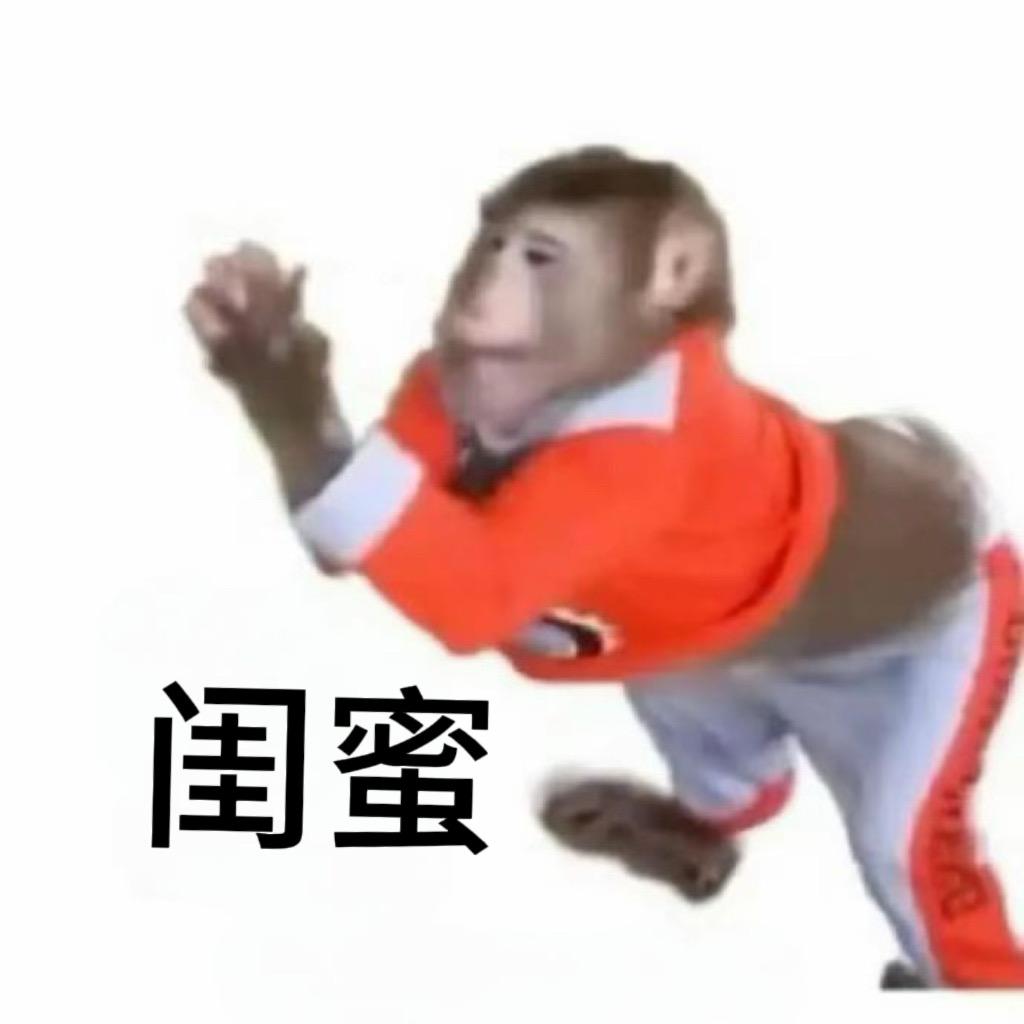 滑稽大鱿鱼