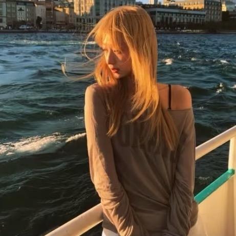 午夜发财的战斗玫瑰