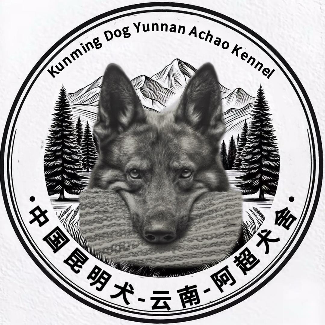 云南-阿超犬舍