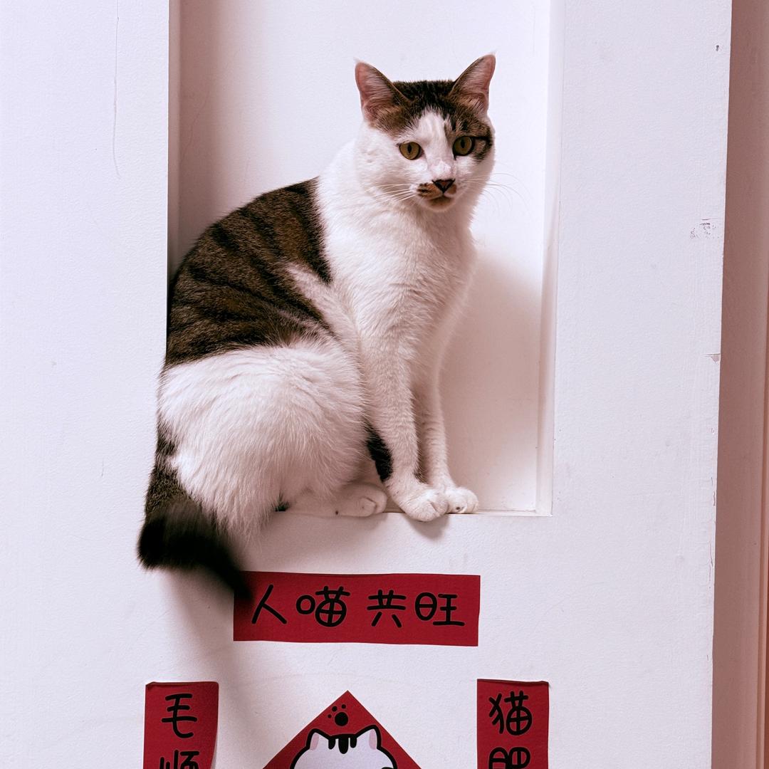 🐕珵珵观察日记✨